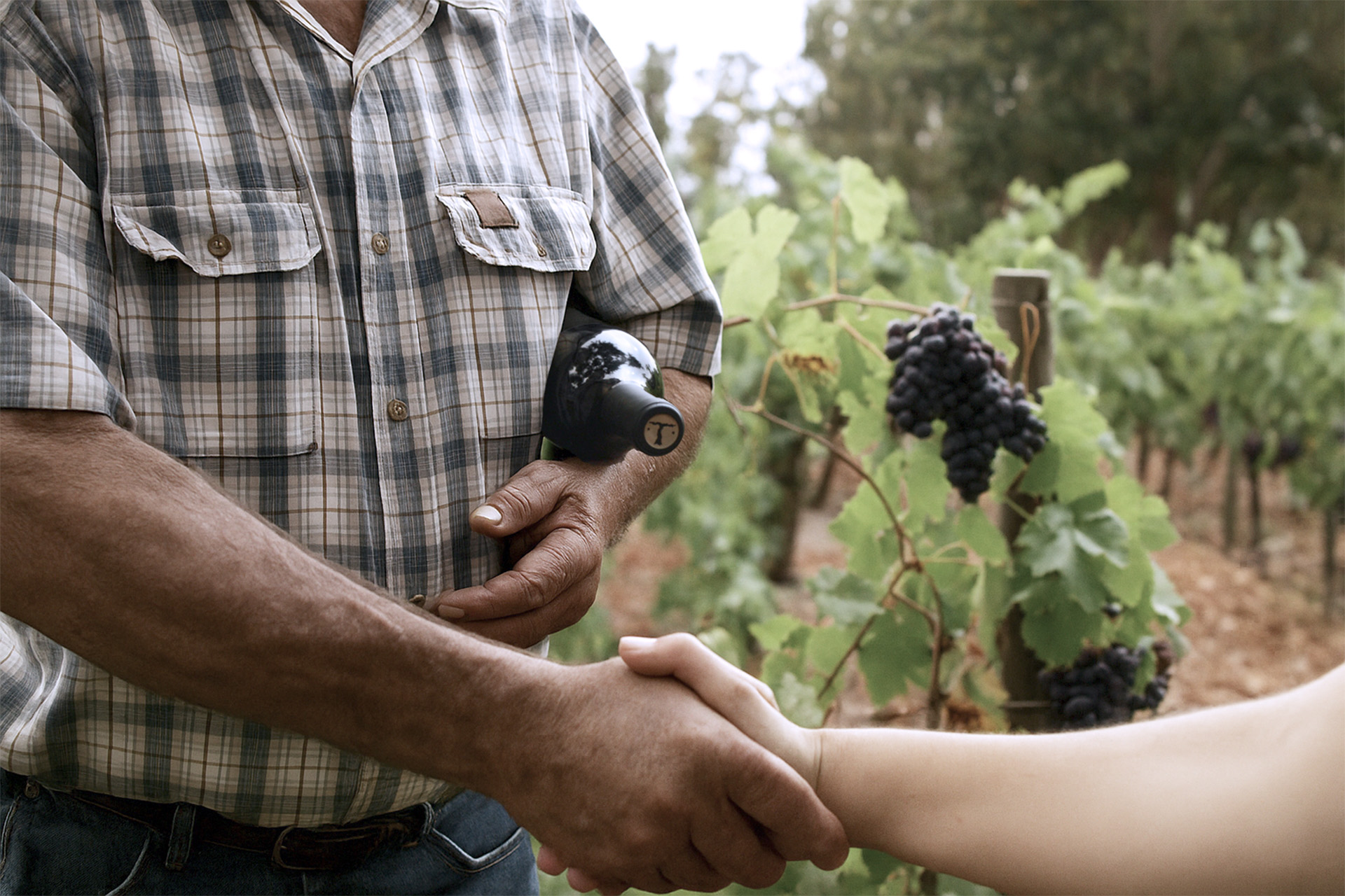 Old Vines. Trusted Growers. Soulful Wines.